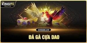 da-ga-cua-dao-king88