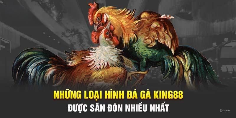 Phong phú những thể loại đá gà tại King88 siêu cuốn hút