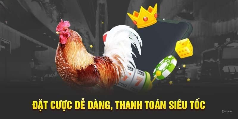 Thao tác cá cược tại sảnh đấu chiến kê King88 dễ dàng